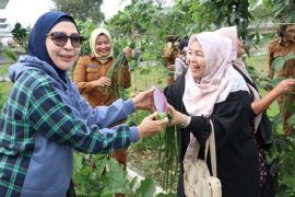 Masyarakat Simalungun diajak manfaatkan pekarangan rumah dengan tanaman bermanfaat