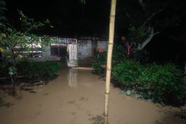 58 kepala keluarga di Bolano Lambunu Parimo terdampak banjir