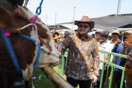 Pemkab Kediri sebut populasi sapi melimpah dukung ketahanan pangan