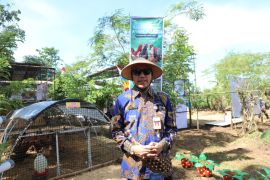 Pemprov Jateng pastikan kebutuhan hewan kurban untuk Idul Adha 2026 surplus