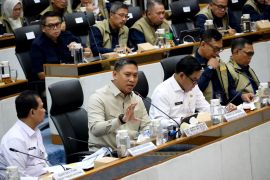 Wamentan pastikan cadangan beras nasional aman hadapi kemarau