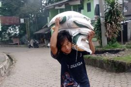 183.753 PBP di Lebak terima beras dan minyak dari Bapanas