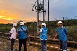 PLN Group perkuat layanan listrik dukung industri di Ketapang