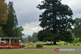 Kunjungan ke Kebun Raya Cibodas naik 30 persen selama libur panjang
