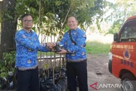 Cianjur tanam 200 bibit pohon di wilayah rawan bencana