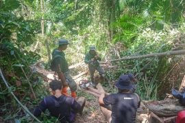 Gakkum Kemenhut tetapkan dua tersangka pembalakan liar di TWA Mangolo