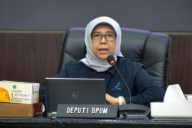 BPOM: Integrasi Kabupaten/Kota Pangan Aman kuatkan perlindungan warga
