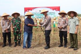 Polres Kulon Progo melaksanakan penanaman jagung dukung ketahanan pangan
