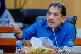 Anggota DPR usulkan skema kredit berbasis aset kreatif bagi UMKM