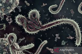 AS larang sementara warga Afrika masuk akibat wabah Ebola