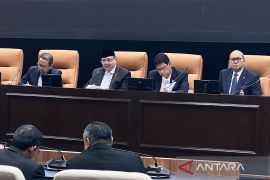 Purbaya sebut pembentukan DSI beri dampak positif ke bursa saham RI