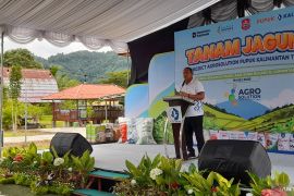 Bone Bolango tingkatkan produktivitas jagung melalui agrosolusi