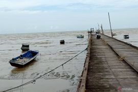 Pemkab Penajam berharap pemerintah pusat tambah  kuota solar subsidi nelayan