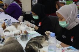 KPKP Jakbar targetkan 2.200 kucing disterilisasi selama 2026