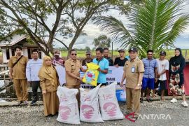 Dislautkan Kalsel kembangkan "haruan estate" empat kelompok di HSS
