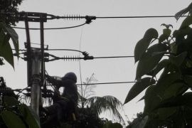 PLN ULP Namlea intensifkan pemulihan gangguan kelistrikan dampak cuaca ekstrem di Kabupaten Buru