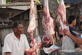Persediaan unggas meugang Idul Adha di Aceh Timur capai 76 ribuan ekor