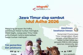 Jawa Timur siap sambut Idul Adha 2026