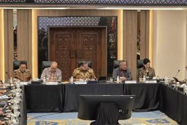 BI izinkan mata uang selain dolar buat penempatan DHE SDA