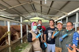 Kuningan siapkan 10 ribu kalung penanda sehat bagi hewan kurban
