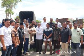 Kementan dorong produktivitas petani lewat Bantuan Benih Padi di Paluta