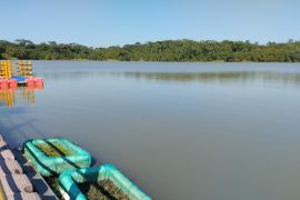 Puluhan satwa endemik Kalimantan berkembang biak di area pascatambang Adaro