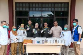Barantin serahkan puluhan reptil hasil tangkapan kepada BBKSDA Sulsel