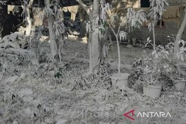 Kebocoran bahan baku semen sebabkan "hujan abu" di Kemang Kabupaten Bogor