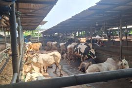 Pemkot Depok ingatkan pemotongan hewan kurban wajib penuhi aspek kesehatan