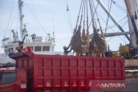 Aktivitas bongkar muat nonpetikemas di Pelabuhan Cirebon