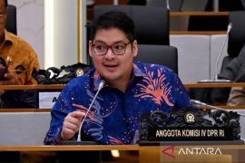 DPR dorong mitigasi nasional antisipasi masuknya hantavirus Andes