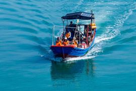 Menengok dedikasi sukarelawan di China tenggara selamatkan burung dara  laut jambul yang terancam punah