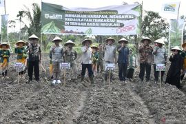 Pemkab Bondowoso pastikan lindungi petani tembakau