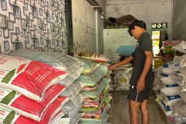 Harga pupuk di Batang Hari terjadi kenaikan