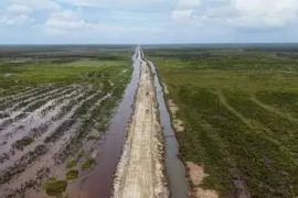 Program cetak sawah di Wanam, CISA: Strategi Prabowo wujudkan kedaulatan pangan