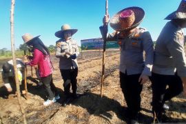 Polsek Tapin Utara lanjutkan tanam jagung kuartal II di Tapin