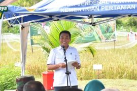 Pemkot Palangka Raya perkuat ketahanan pangan