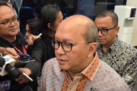 Rosan sebut DSI berkantor di Danantara, diresmikan pekan depan