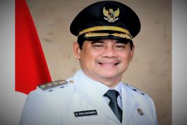 Bupati Barito Utara dorong penetapan WPR untuk tertibkan PETI
