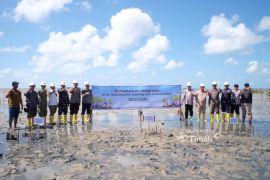 PT Timah bersama warga Belitung Timur jaga alam lewat tanam 5.000 mangrove