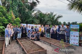 Dosen ULM dorong petani wanita Banjarmasin kelola lahan basah