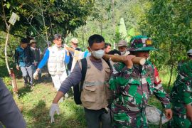 BKSDA Sumbar evakuasi harimau masuk kandang jebak di Agam