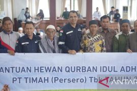 Pemkab Bangka Tengah salurkan 92 ekor hewan kurban kepada masyarakat