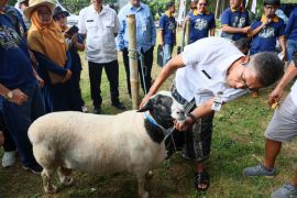 Pemprov Jateng pastikan kesehatan hewan kurban