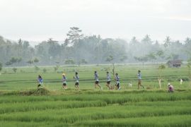 Dispar Kulon Progo selenggarakan Sermo Run promosikan "sport tourism"