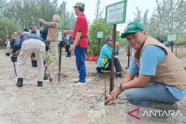 Pemprov Babel apresiasi BPDAS Baturusa, KKMD dan Kagama tanam 2.000 bibit mangrove