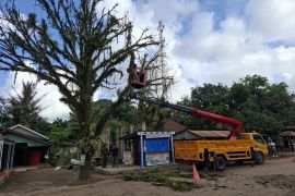 Pemkab Bartim bersama masyarakat benahi jalan dan pohon di Jaweten
