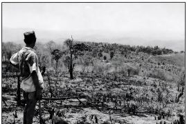 Islam, Hutan, dan Babi Hutan: Membaca Ekologi Keagamaan Orang Sumbawa