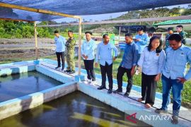BGN dan Yonif TP 804 kerja sama optimalkan ketahanan pangan MBG