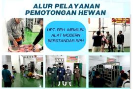 Distan Barut buka layanan pemotongan hewan melalui UPT RPH Modern